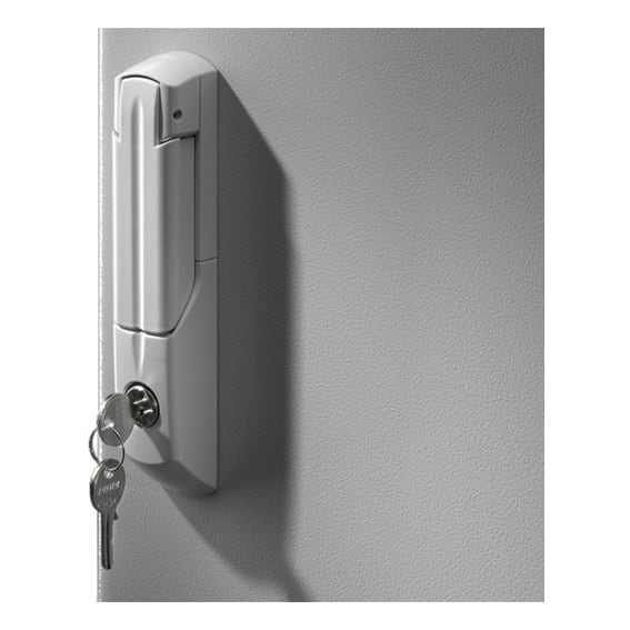 Rittal - CS 9785.042 CS Profilhalbzylinder