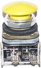 Allen-Bradley - 30mm Momentary Push Button 800T PB